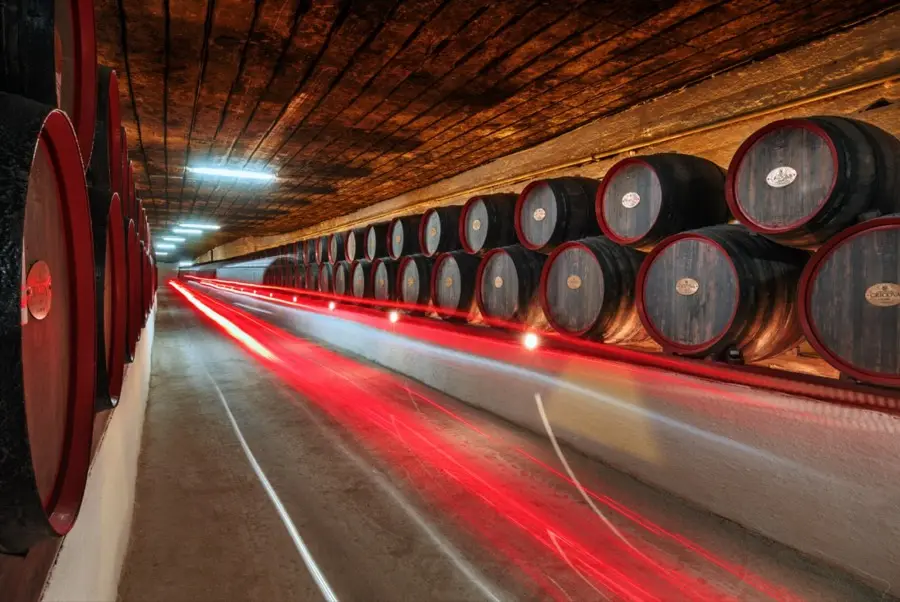 Moldovan winery