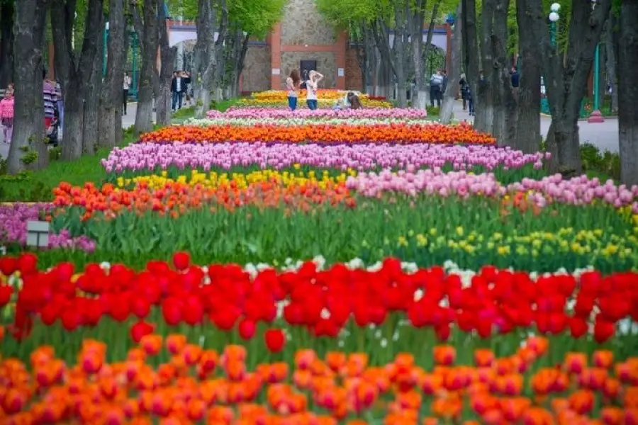 Arboretum