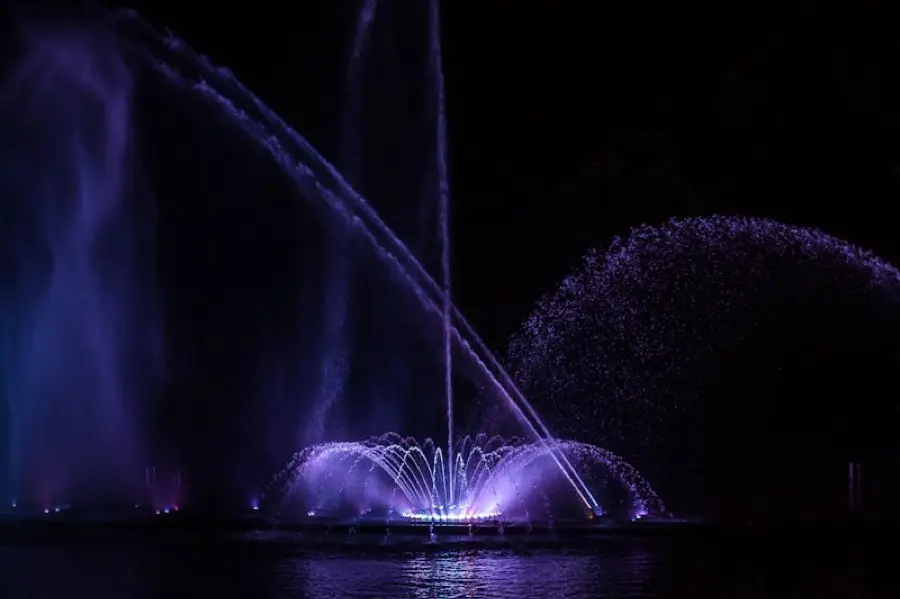 Roshen fountain