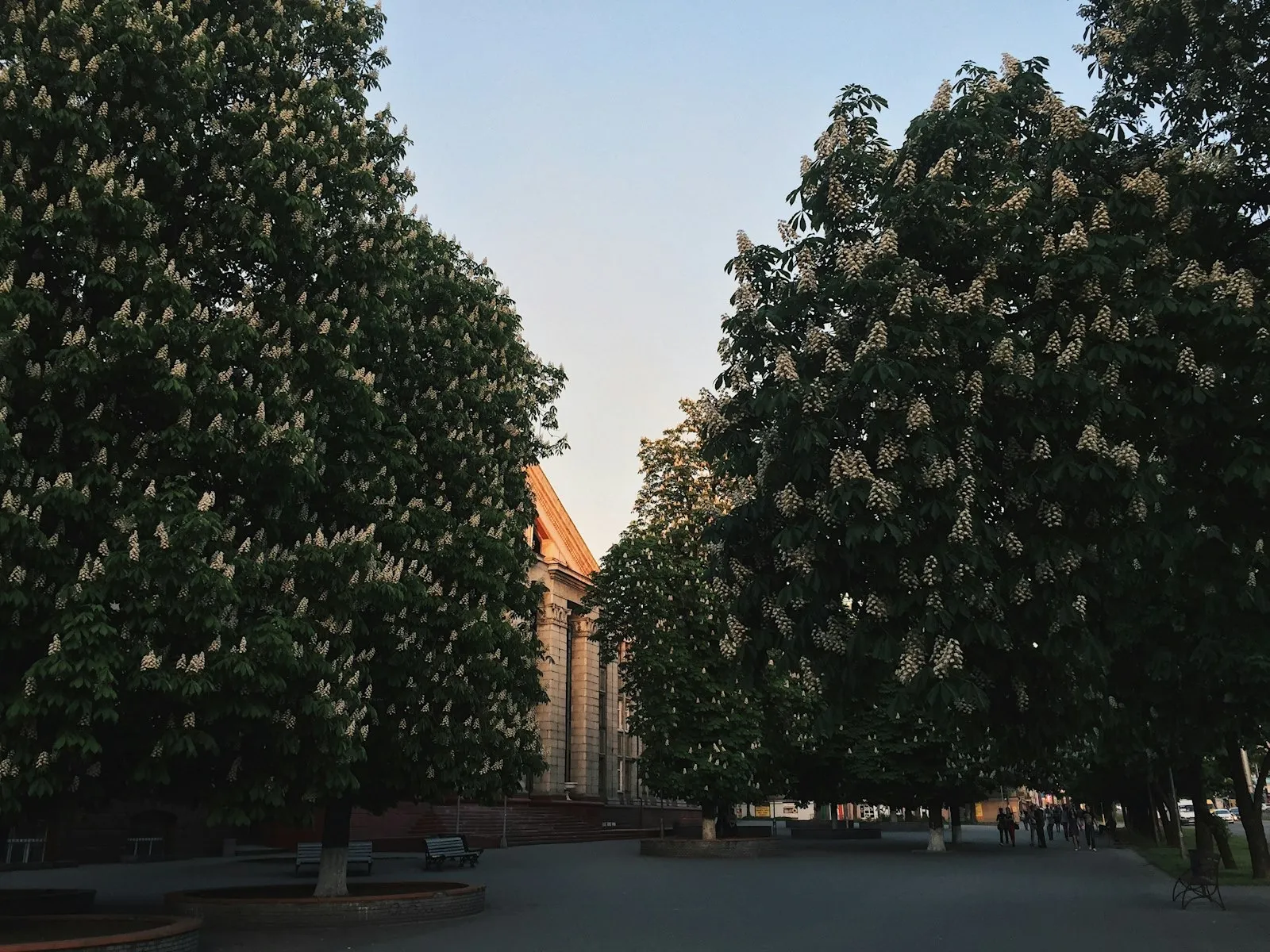 Хортиця у Запоріжжі